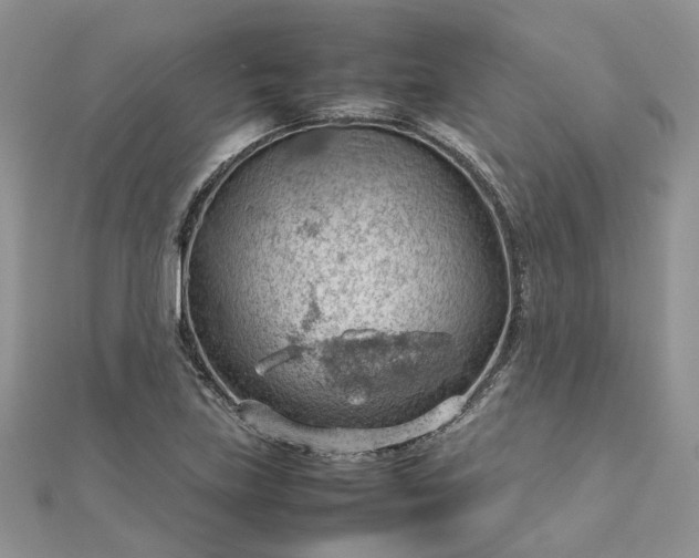 X0000112811219200909041447