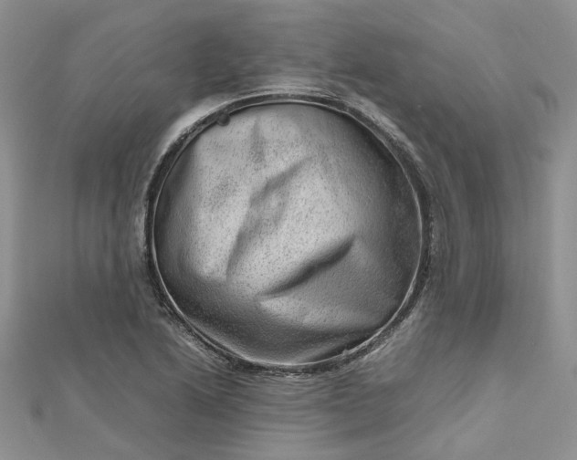 X0000112811222200909041447