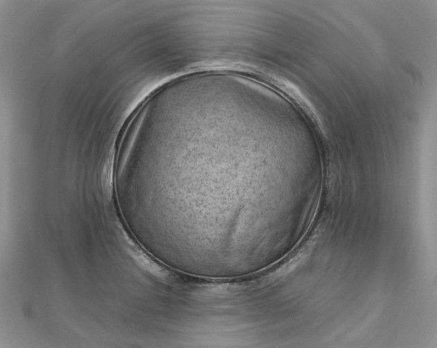 X0000112811228200909041447