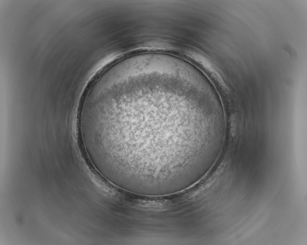 X0000112811229200909041447