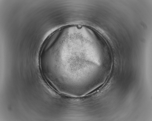 X0000112811230200909041447