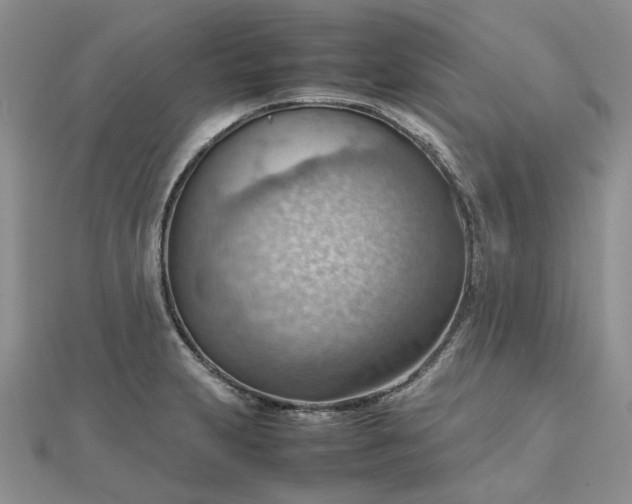 X0000112811231200909041447