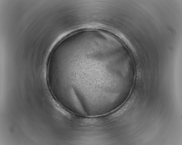 X0000112811232200909041447