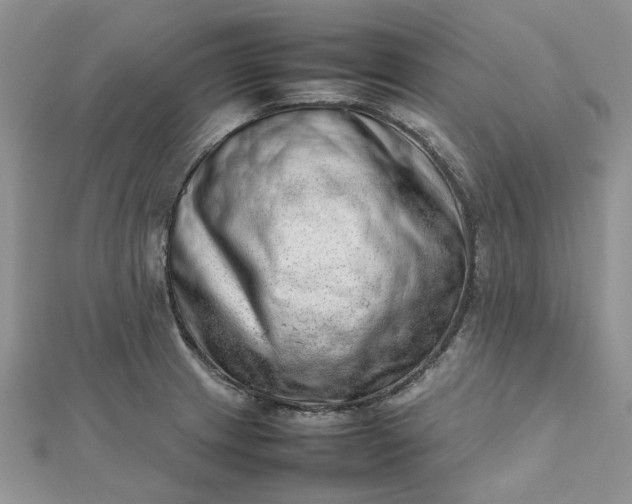 X0000112811233200909041447