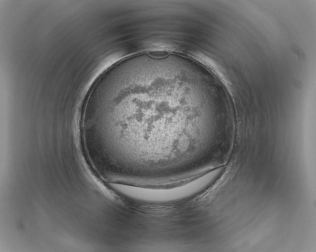 X0000112811235200909041447