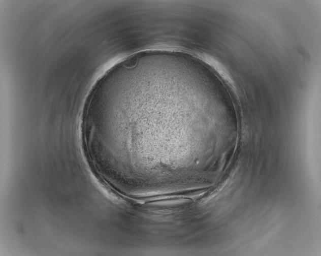 X0000112811237200909041447