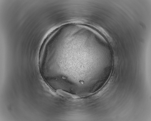 X0000112811240200909041447
