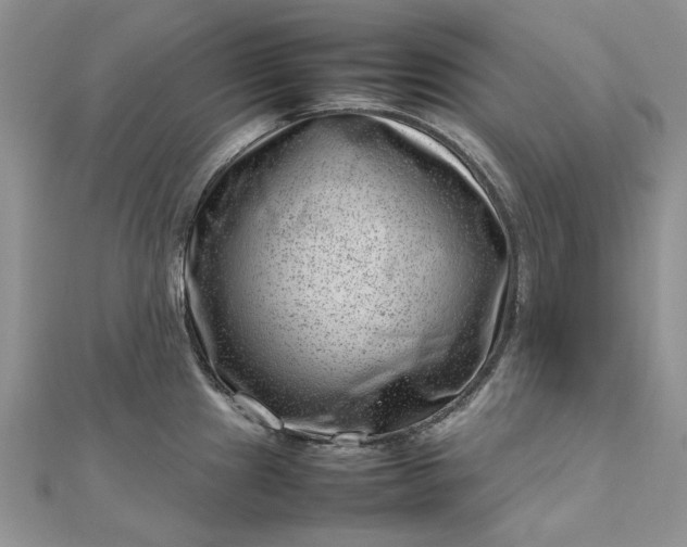 X0000112811241200909041447