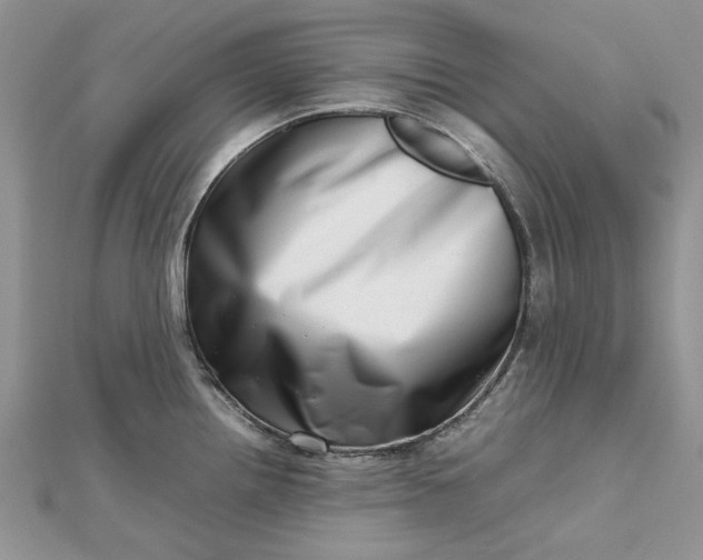 X0000112811242200909041447