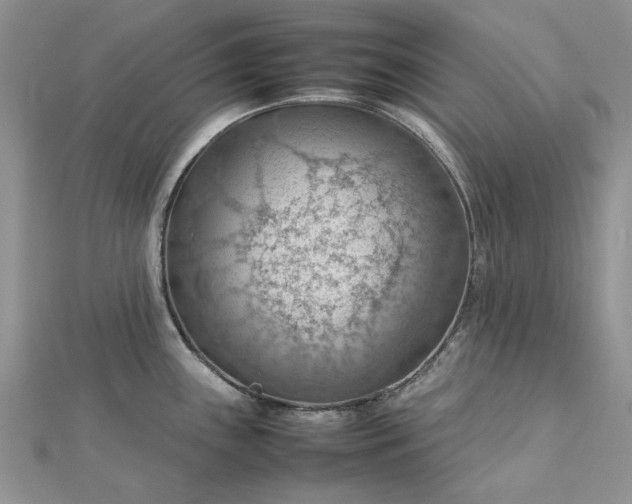 X0000112811243200909041447