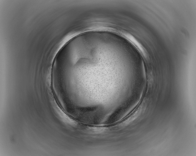 X0000112811244200909041447