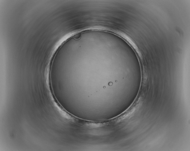 X0000112811245200909041447