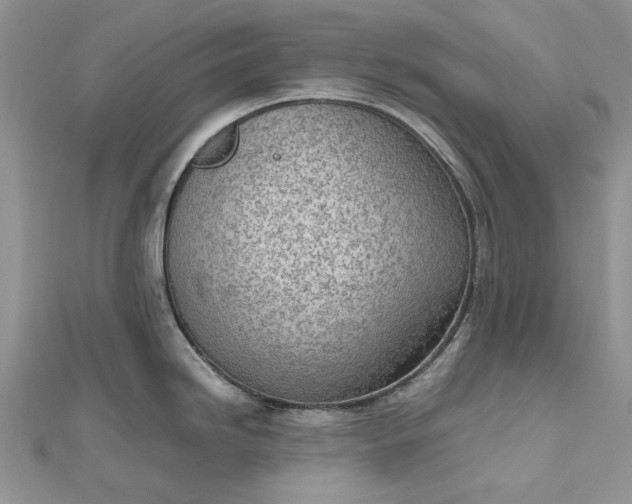 X0000112811246200909041447