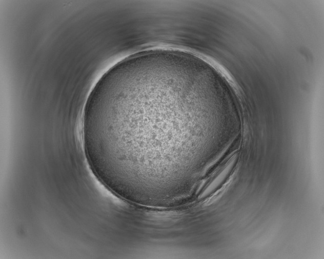 X0000112811247200909041447