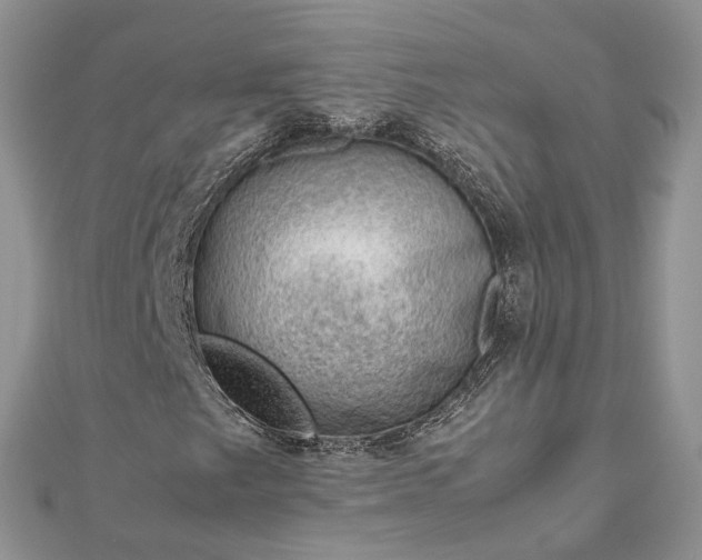 X0000112811249200909041447