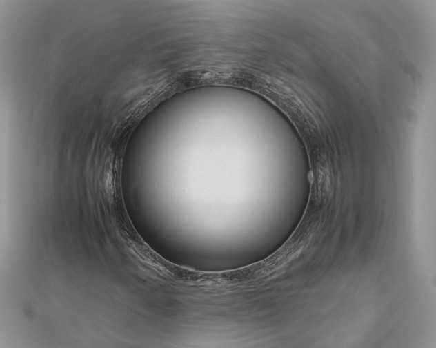 X0000112811250200909041447