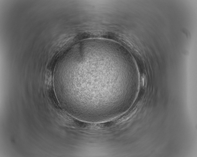 X0000112811251200909041447