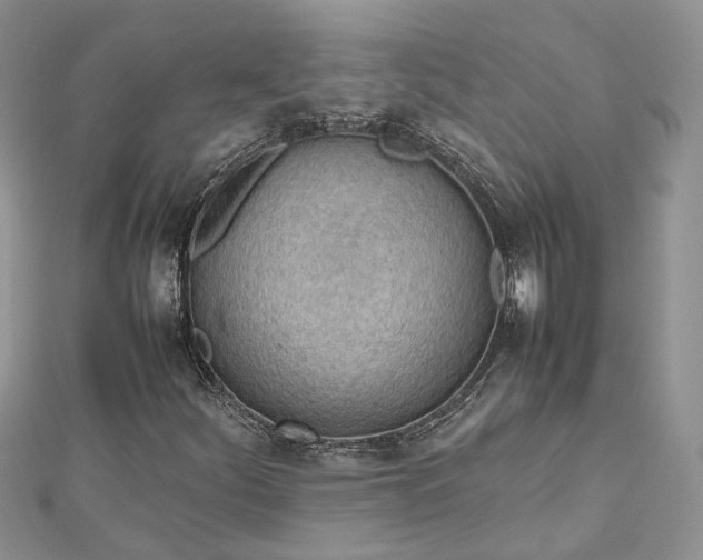 X0000112811252200909041447