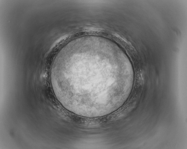 X0000112811254200909041447