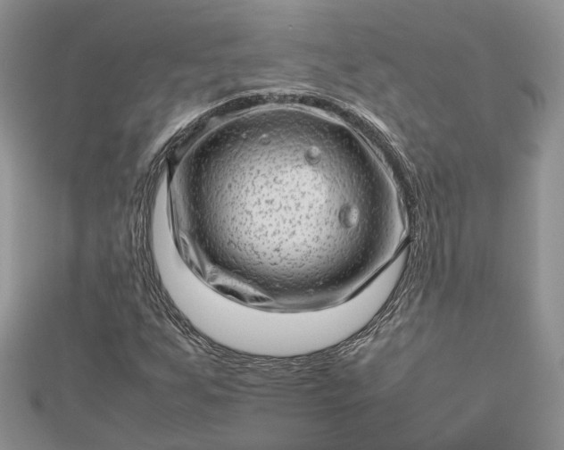 X0000112811255200909041447
