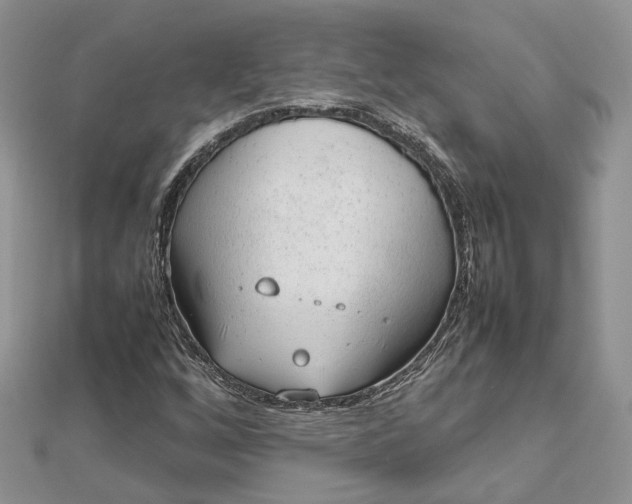 X0000112811256200909041447