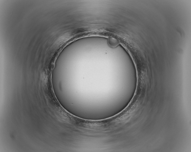 X0000112811257200909041447