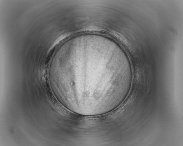 X0000112811258200909041447