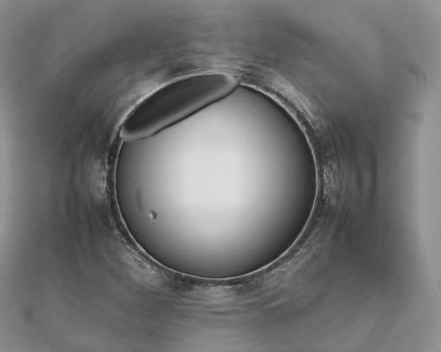 X0000112811260200909041446