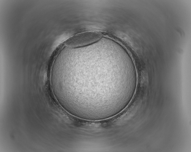 X0000112811261200909041446