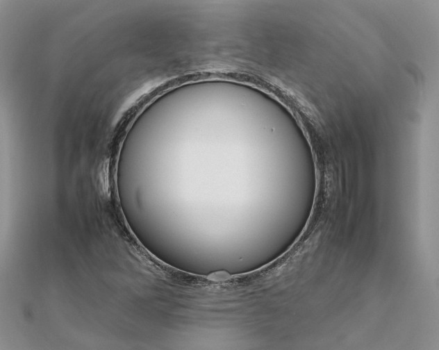 X0000112811262200909041446