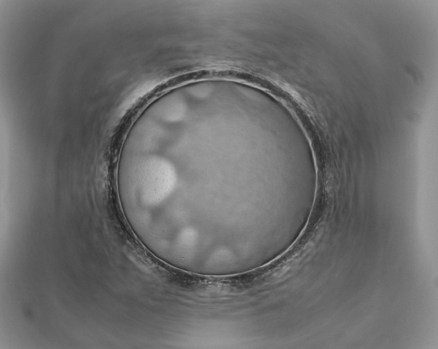 X0000112811263200909041446