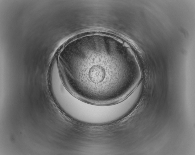 X0000112811264200909041446