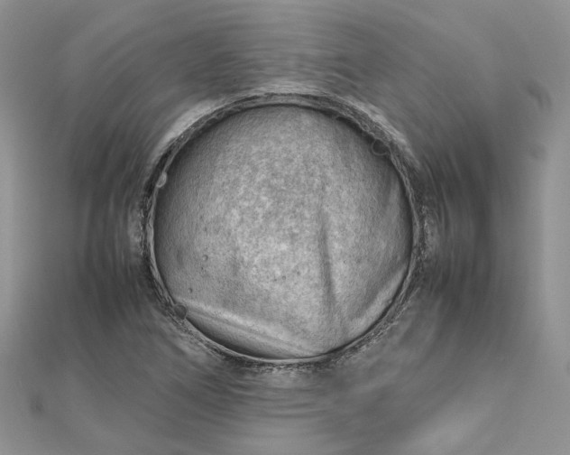 X0000112811266200909041446