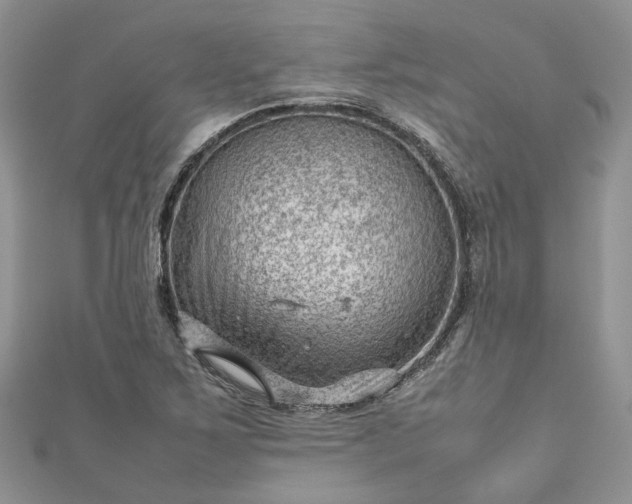 X0000112811267200909041446