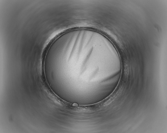 X0000112811270200909041446