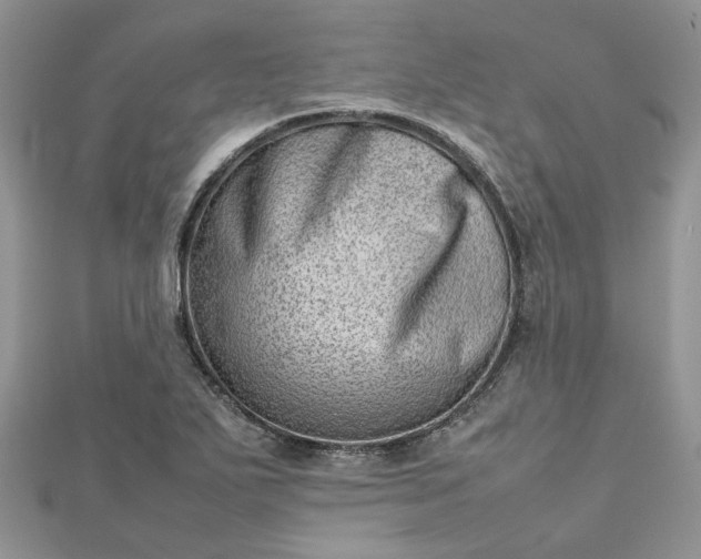 X0000112811271200909041446