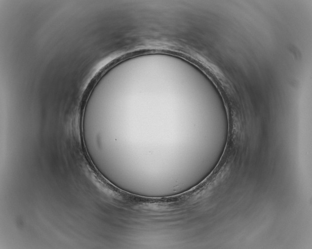 X0000112811272200909041446