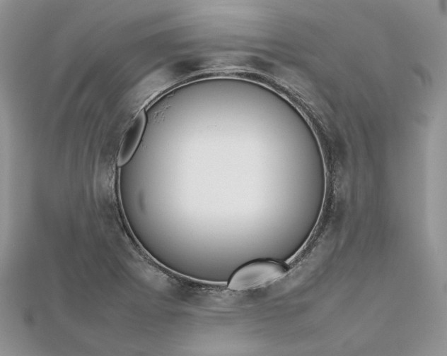 X0000112811273200909041446