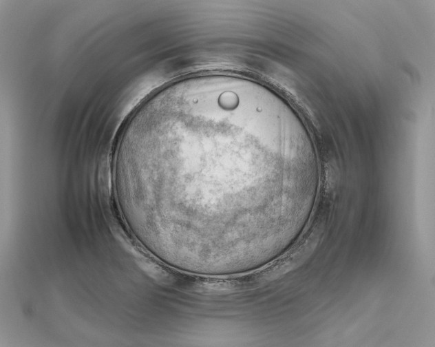 X0000112811274200909041446