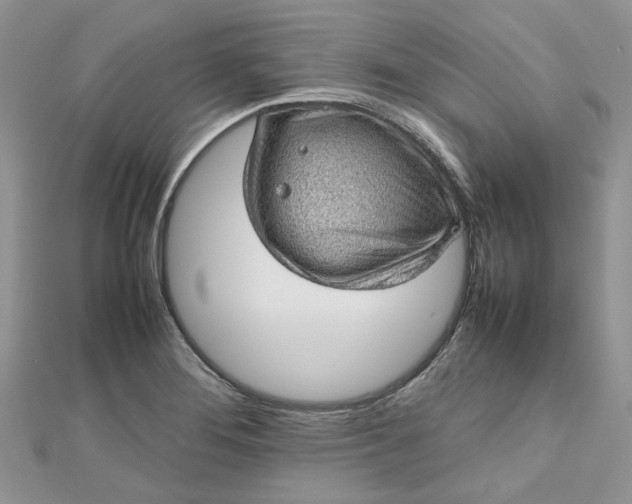 X0000112811276200909041446