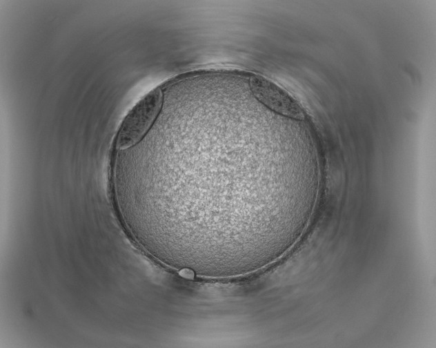 X0000112811277200909041446