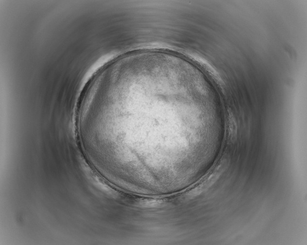 X0000112811278200909041446