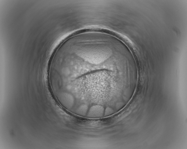 X0000112811279200909041446