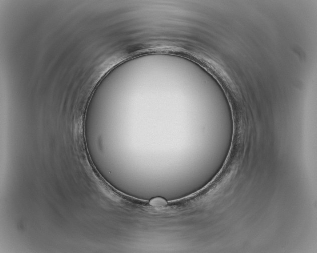 X0000112811281200909041446