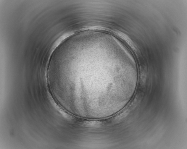 X0000112811282200909041446