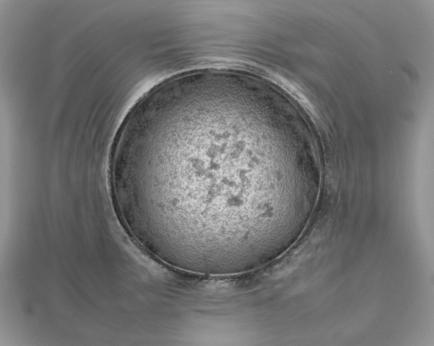X0000112811283200909041446