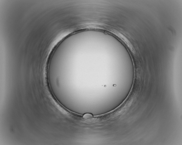 X0000112811285200909041446