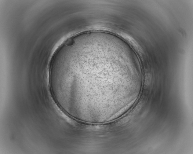 X0000112811286200909041446