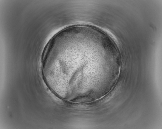 X0000112811287200909041446