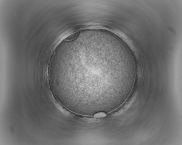 X0000112811289200909041446